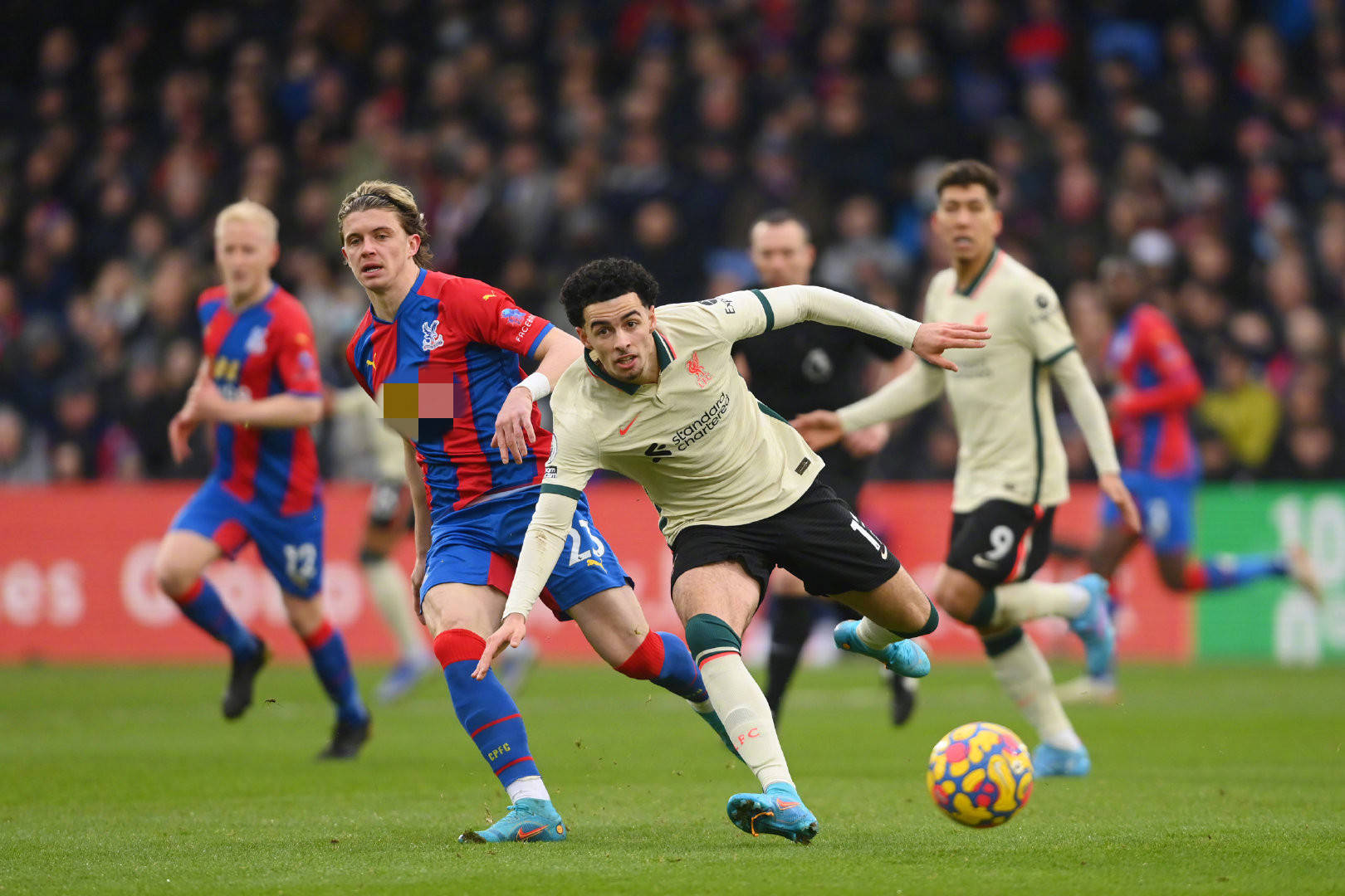 项运动中来 项运动中来